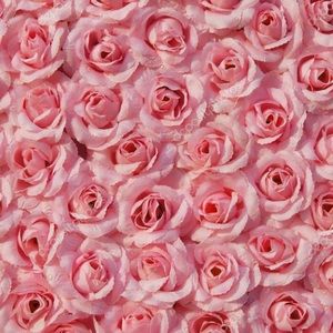 Meet your Posher, Mara